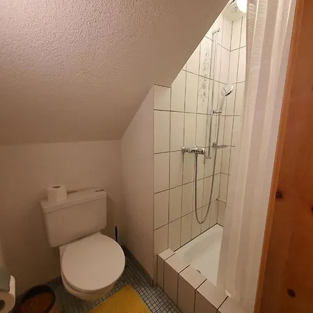 Apartman La Schmetta 65 Quadroni By Interhome Lenzerheide